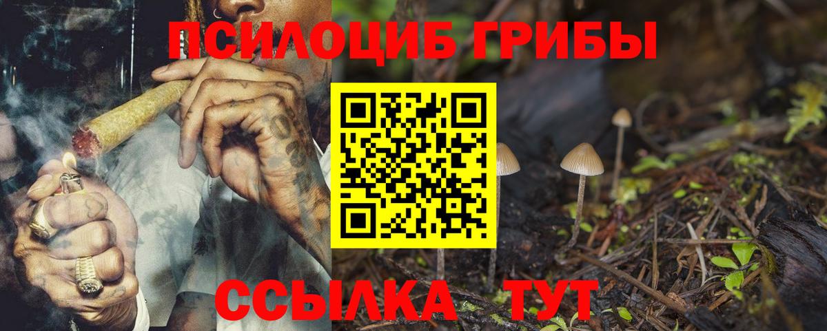Галлюциногенные грибы Psilocybine cubensis  Вход с VPN  Краснодар  Псилоцибиновые грибы Psilocybe 